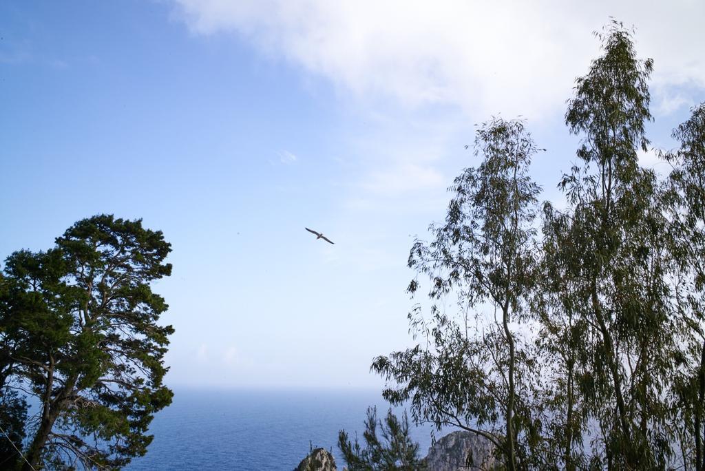Villacore Capri Zimmer foto
